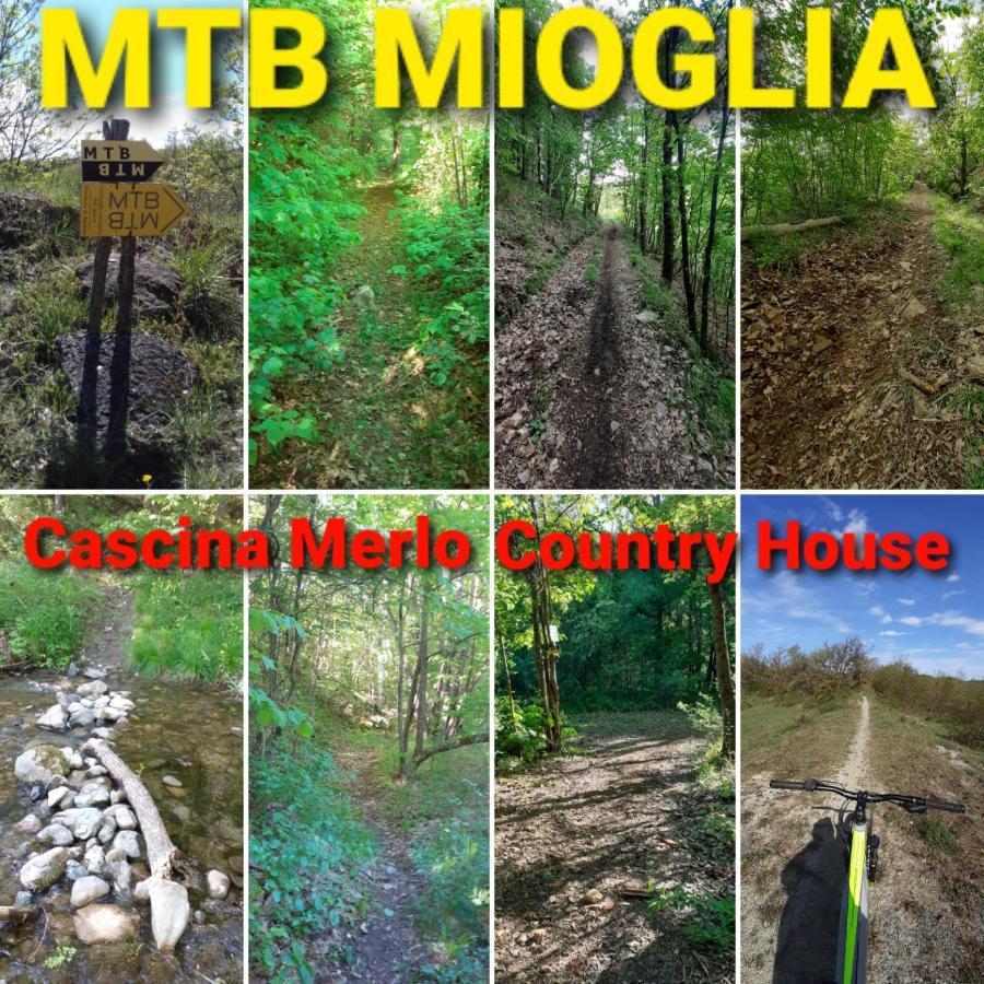 Cascina Merlo Country House Pareto Εξωτερικό φωτογραφία